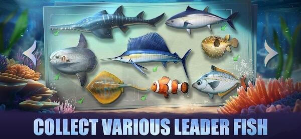 Nangungunang Fish Ocean Game Mod Apk Walang limitasyong Pera