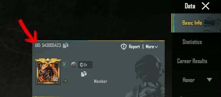 PUBG Mobile active codes October 2024
