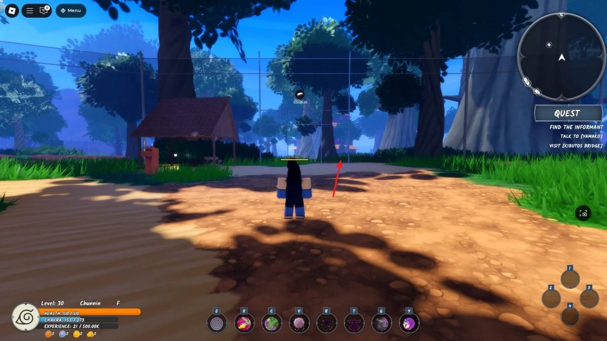Location of the entrance to the Dead Forest in Ninja Time Roblox experience