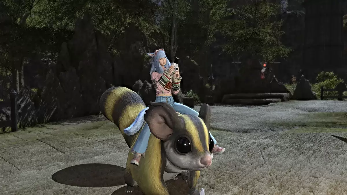Fotografia Emote usata mentre montata in FFXIV