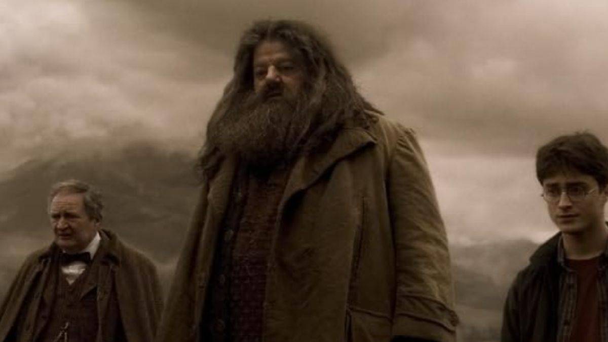羅比·科爾特蘭(Robbie Coltrane)飾演哈利·波特(Harry Potter)和半血王子